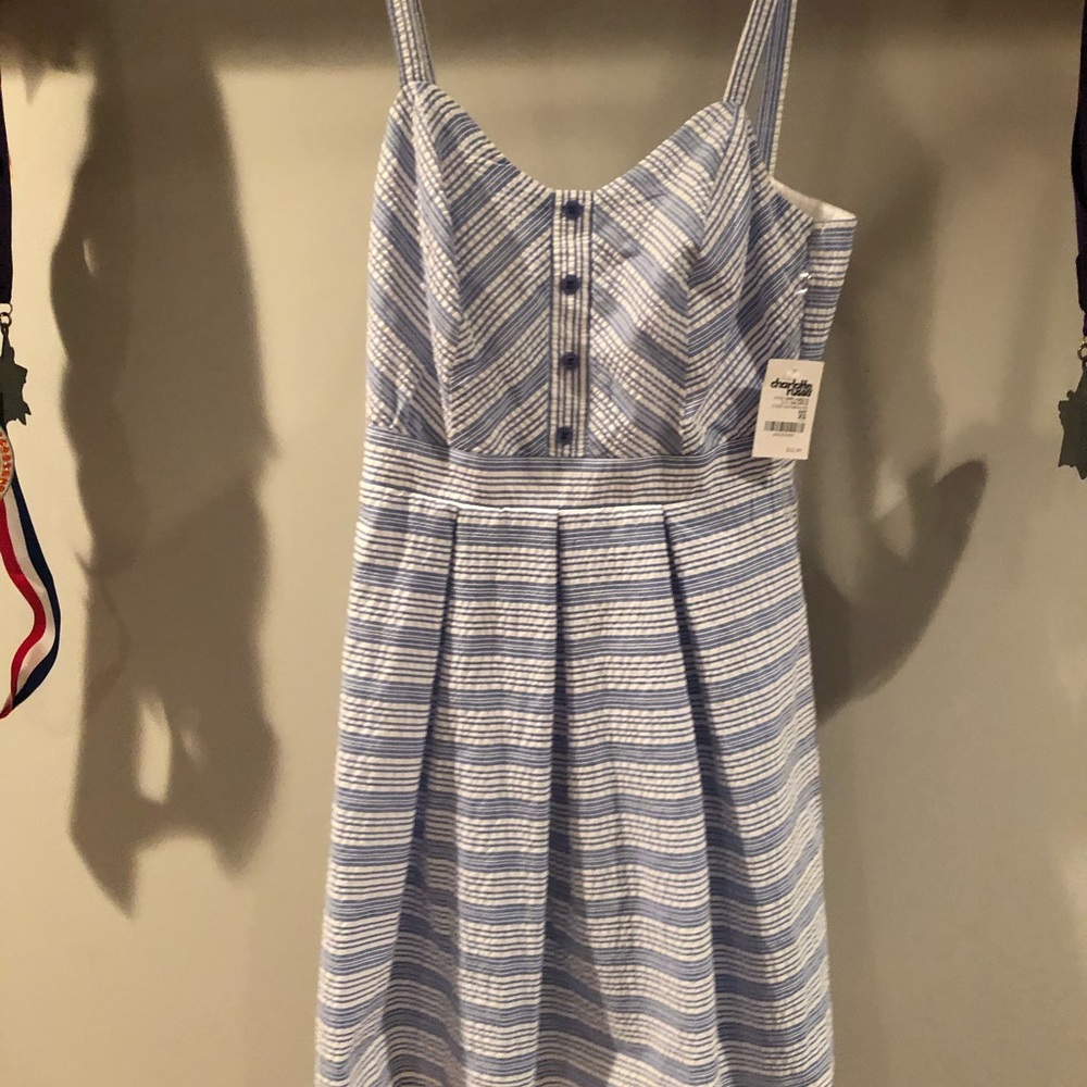 BRAND NEW Charlotte Russe dress